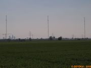 P4235361