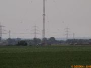 P4235367